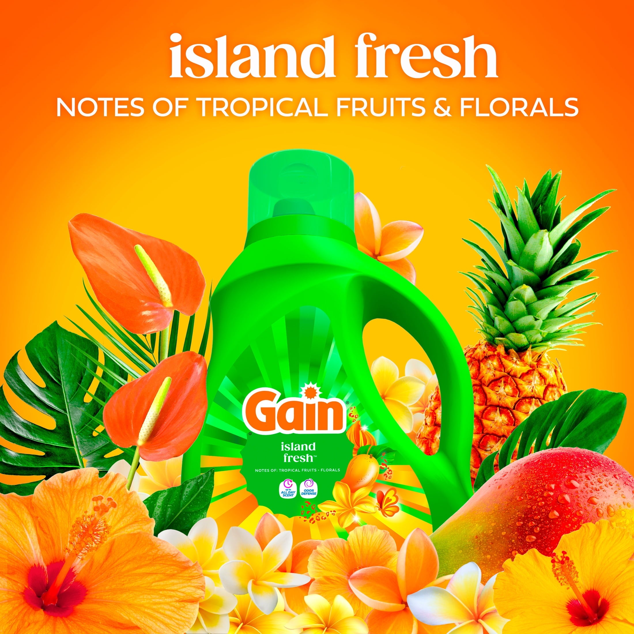 Gain Laundry Detergent Liquid - Now with Odor Defense, Island Fresh Scent, 81 fl oz, 61 Loads - 2-Pack