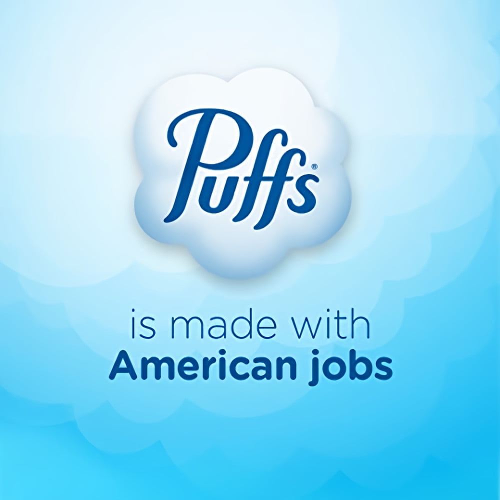 Puffs Plus Lotion Facial Tissues (Pack of 2)