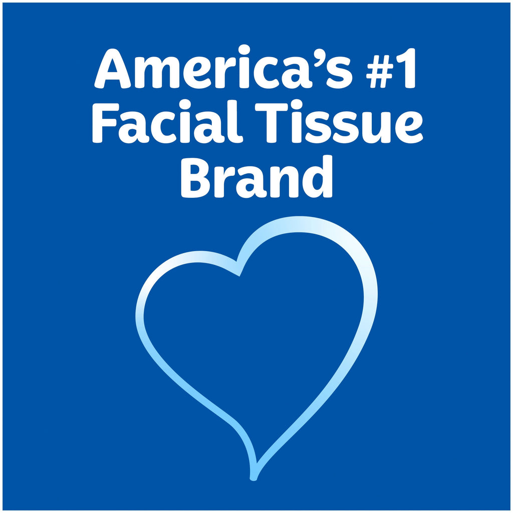 Kleenex Trusted Care Facial Tissues - 4 Flat Boxes, 144 White Tissues per Box, 2-Ply (576 Total)