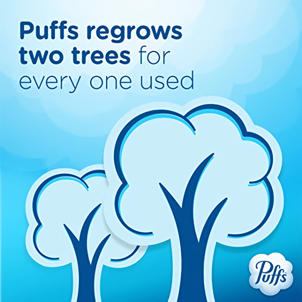 Puffs Plus Lotion Facial Tissues (Pack of 2)