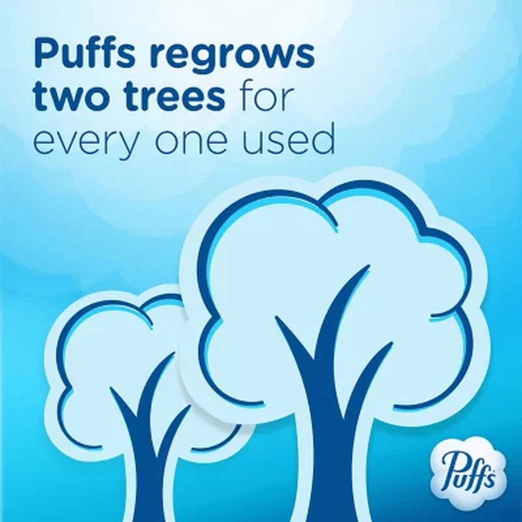 Puffs Plus Lotion 2-Ply Facial Tissues 12 Cube Boxes - 72 tissues/box