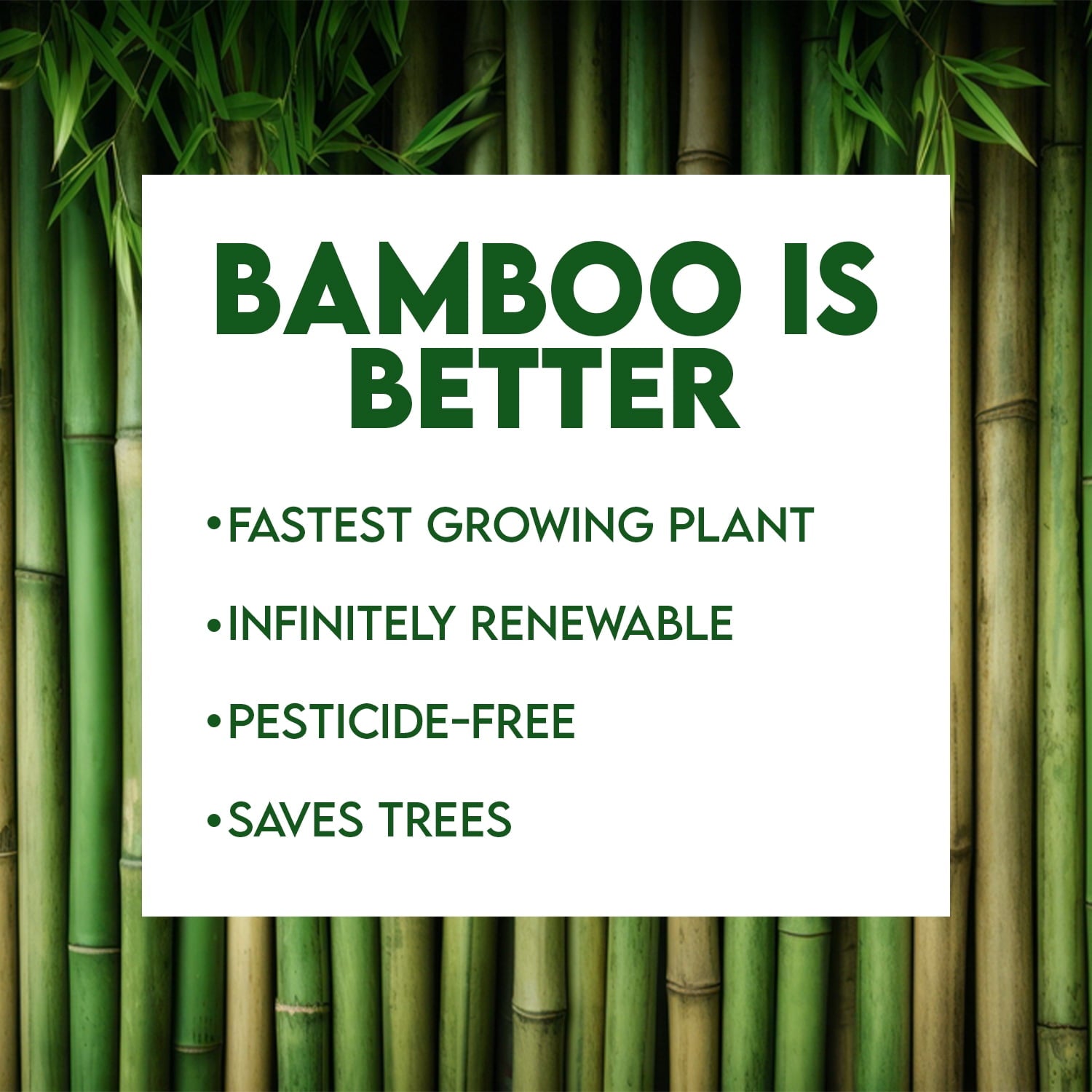 WBM 100% Bamboo Fiber 3-Ply Facial Tissues - 150 Tissues per Box, 10 Packs (1500 Total Tissues)