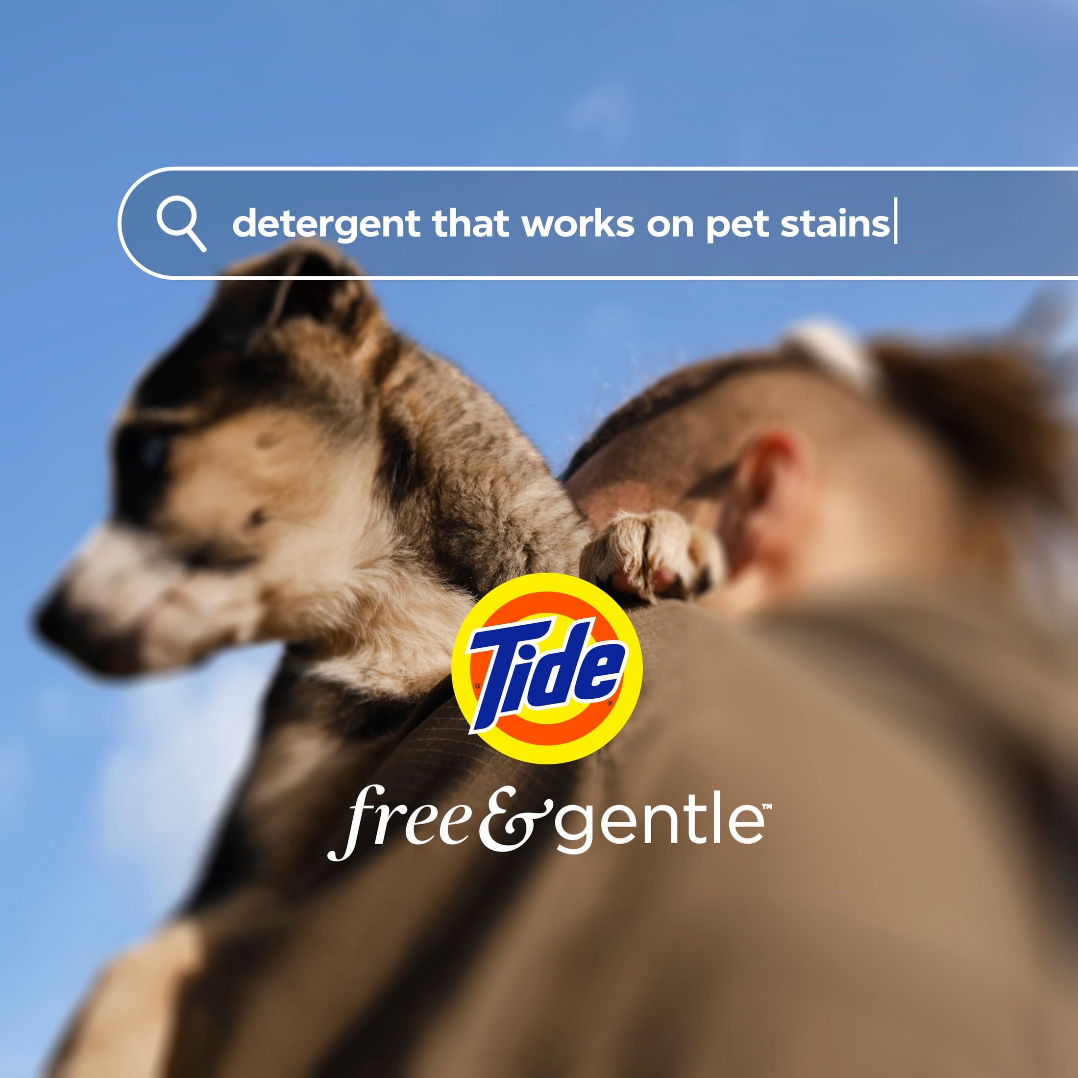Tide PODS Free & Gentle laundry detergent - 102 Count, Trusted, gentle laundry detergent pods, 100% free of irritating residues: no added dyes and perfumes